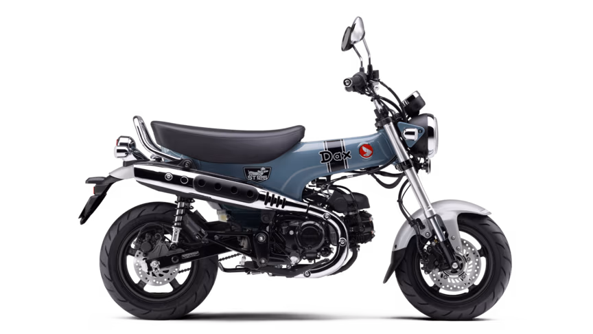 Dax in Pearl Cadet Gray